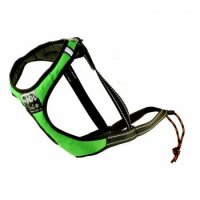 Sali Sport Sled Geschirr lila-3