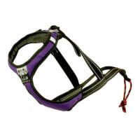 Sali Sport Sled Geschirr lila-3