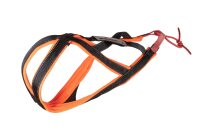 SLEDWORK  Xback active G2 (Größe: 9, Farbe:...