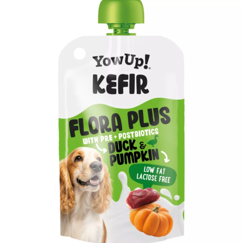 Yowup! Kefir Ente und Kürbis