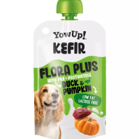 Yowup! Kefir Ente und Kürbis