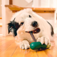 Kauartikelhalter Woof BullySafe