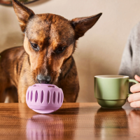 Schleckball Woof Pupsicle lavender