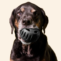 Schleckball Woof Pupsicle Power Chewer Schwarz