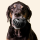 Schleckball Woof Pupsicle Power Chewer Schwarz